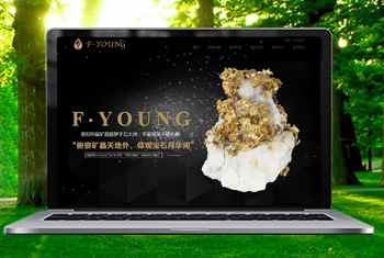 ����������ﱦʯ