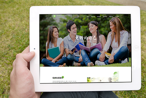 �����γ����